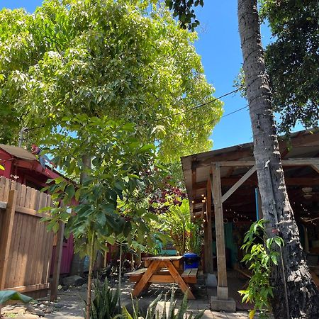 Wailuku Banana Bungalow Maui Hostel מראה חיצוני תמונה